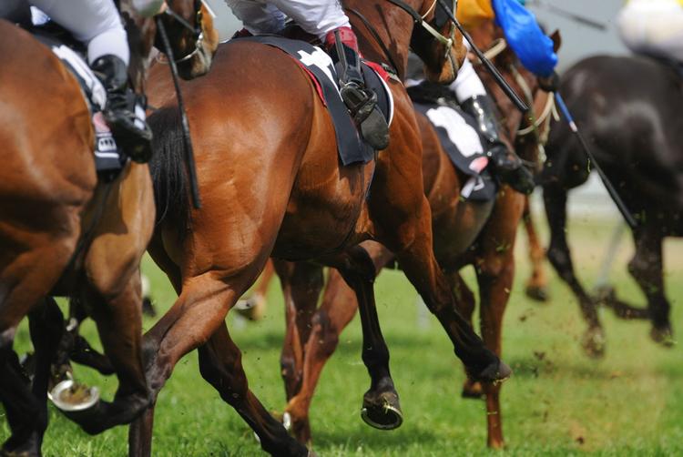 Residence Hotel Galway | Galway | 2